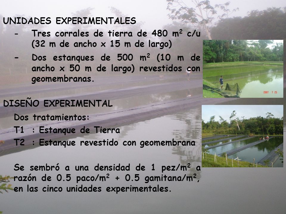 UNIDADES EXPERIMENTALES