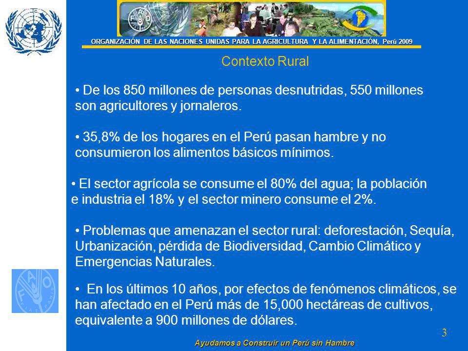 ORGANIZACIÓN DE LAS NACIONES UNIDAS PARA LA AGRICULTURA Y LA ALIMENTACIÓN, Perú 2009