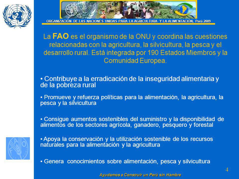 ORGANIZACIÓN DE LAS NACIONES UNIDAS PARA LA AGRICULTURA Y LA ALIMENTACIÓN, Perú 2009