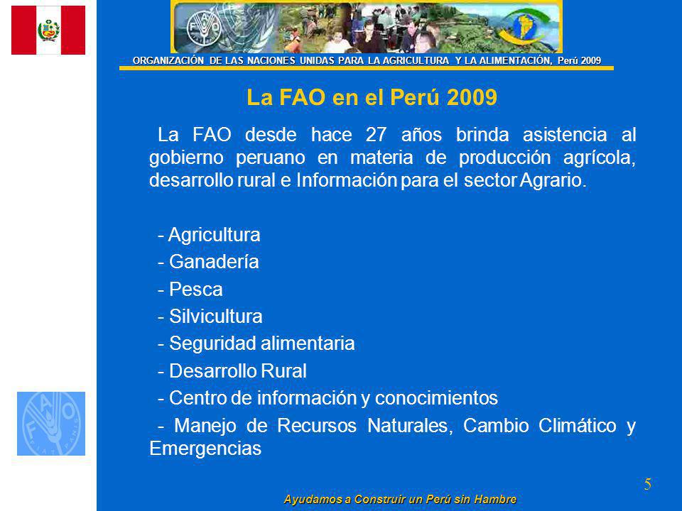 ORGANIZACIÓN DE LAS NACIONES UNIDAS PARA LA AGRICULTURA Y LA ALIMENTACIÓN, Perú 2009