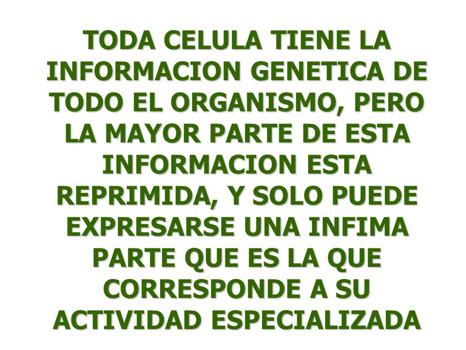 TODA CELULA TIENE LA INFORMACION GENETICA DE TODO EL ORGANISMO, PERO LA MAYOR PARTE DE ESTA INFORMACION ESTA REPRIMIDA, Y SOLO PUEDE EXPRESARSE UNA INFIMA PARTE QUE ES LA QUE CORRESPONDE A SU ACTIVIDAD ESPECIALIZADA