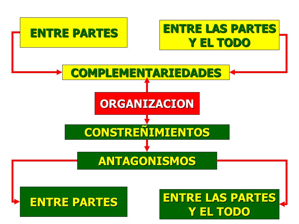 ENTRE PARTES ENTRE LAS PARTES. Y EL TODO. COMPLEMENTARIEDADES. ORGANIZACION. CONSTREÑIMIENTOS. ANTAGONISMOS.