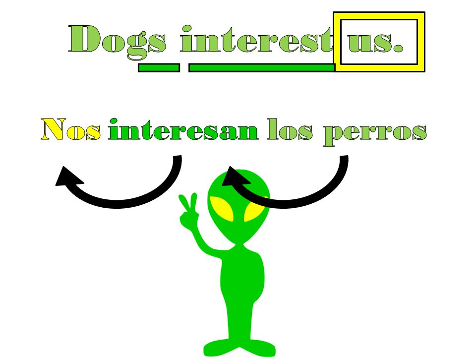 Dogs interest us. Nos interes an los perros