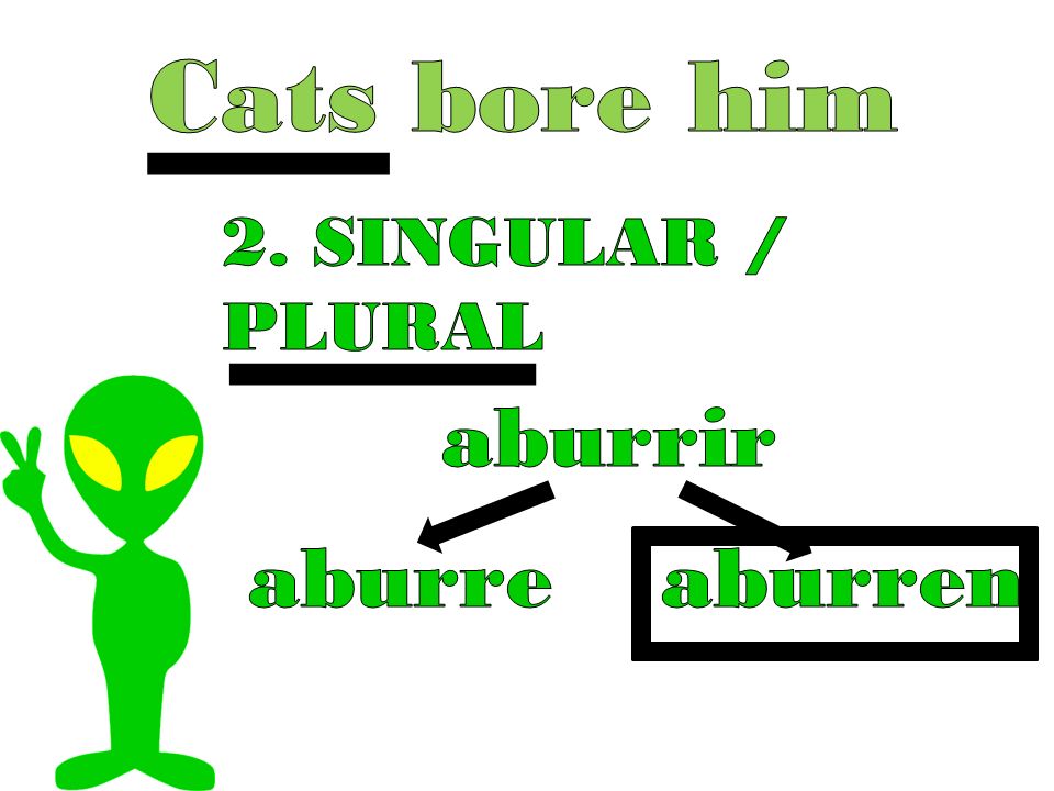 Cats bore him 2. SINGULAR / PLURAL aburrir aburre aburren