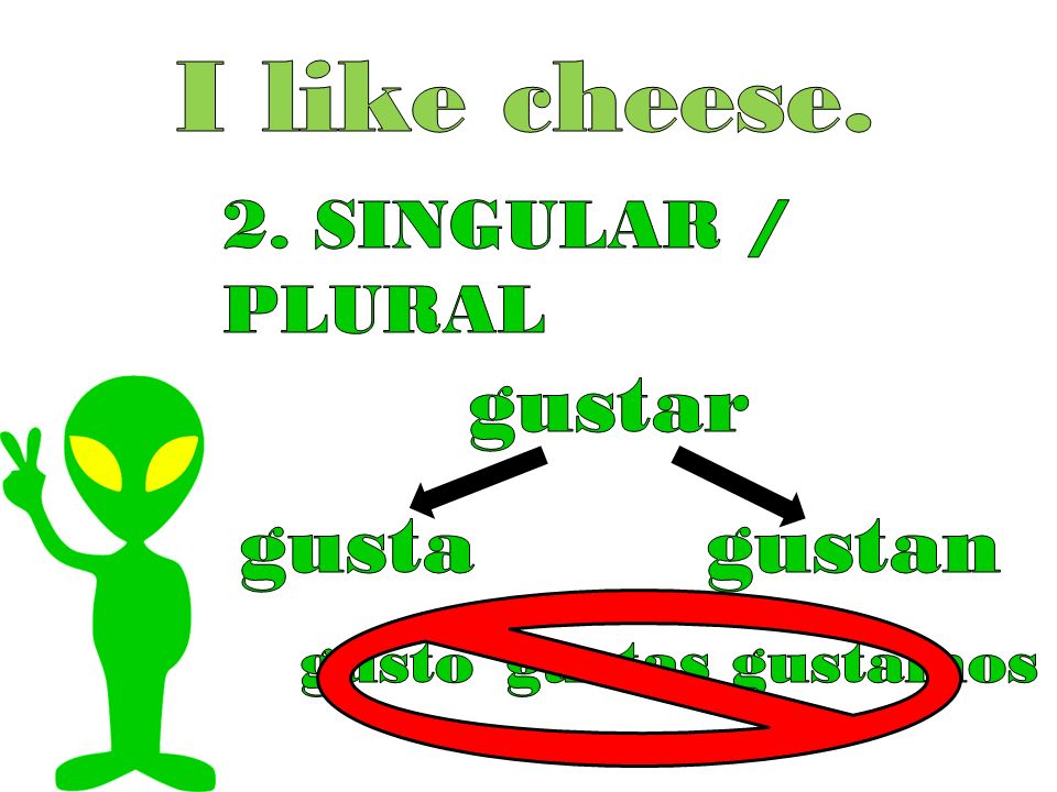 I like cheese. gustar gusta gustan 2. SINGULAR / PLURAL gusto gustas
