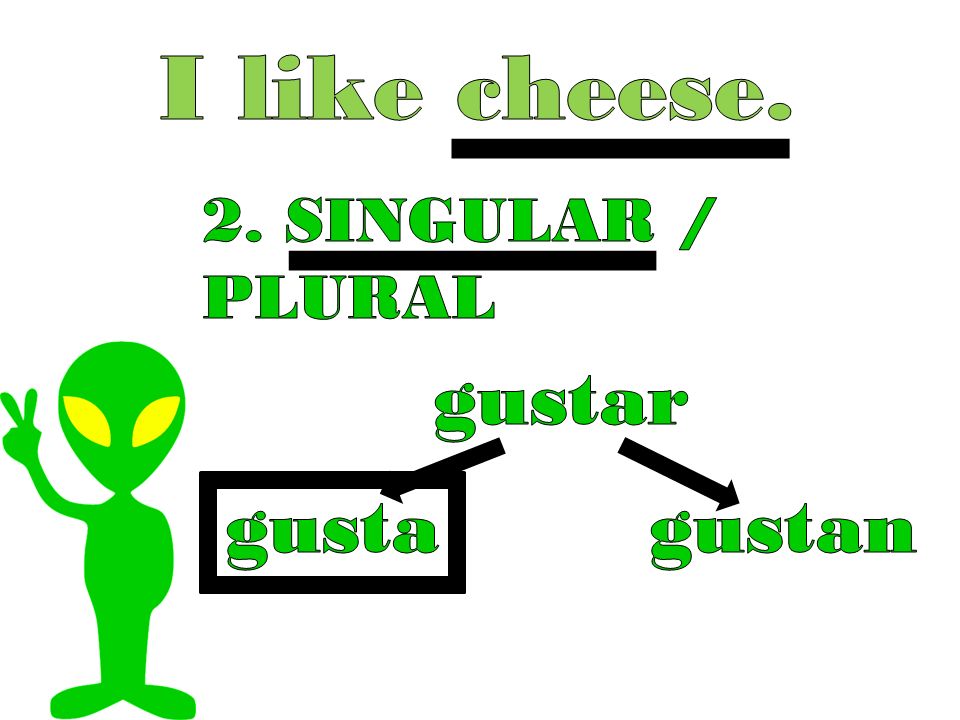 I like cheese. 2. SINGULAR / PLURAL gustar gusta gustan