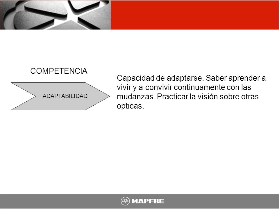 COMPETENCIA Capacidad de adaptarse. Saber aprender a vivir y a convivir continuamente con las mudanzas. Practicar la visión sobre otras opticas.