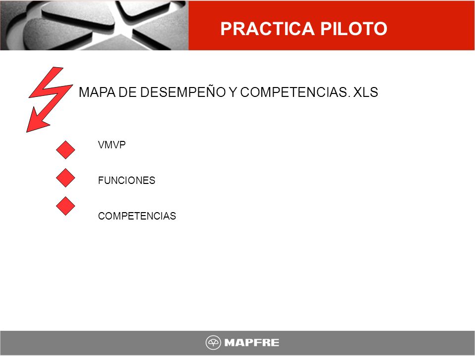 PRACTICA PILOTO MAPA DE DESEMPEÑO Y COMPETENCIAS. XLS VMVP FUNCIONES