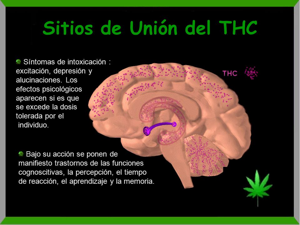 Sitios de Unión del THC Síntomas de intoxicación : excitación, depresión y alucinaciones. Los. efectos psicológicos.