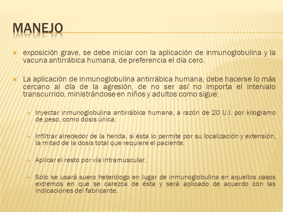 manejo exposición grave, se debe iniciar con la aplicación de inmunoglobulina y la vacuna antirrábica humana, de preferencia el día cero.