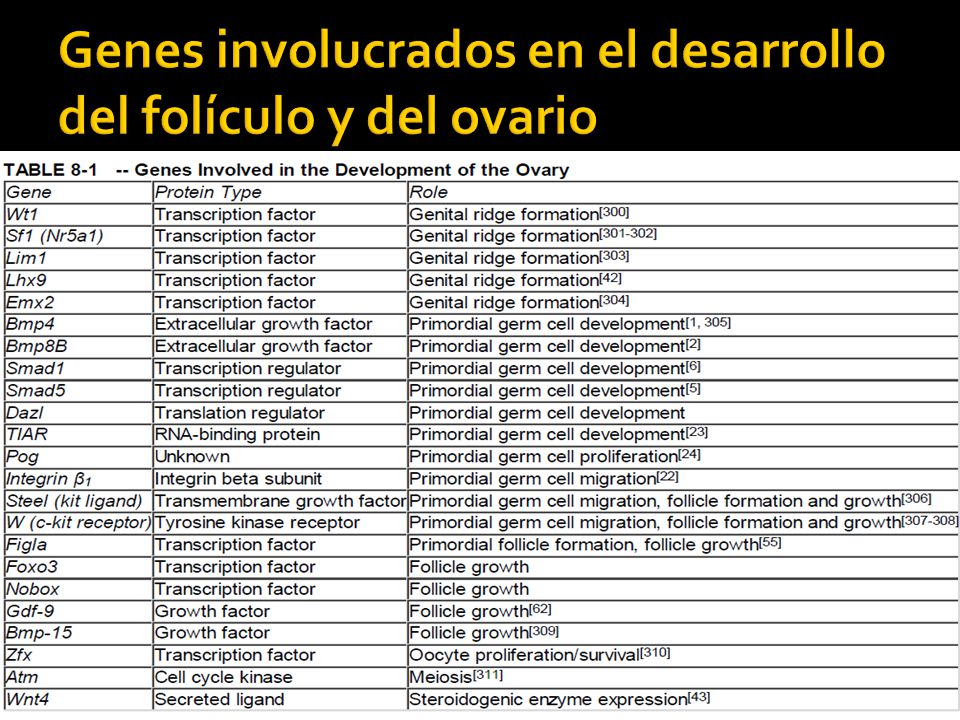 Genes involucrados en el desarrollo del folículo y del ovario