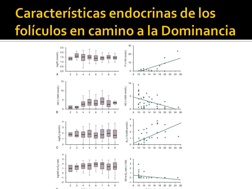 Características endocrinas de los folículos en camino a la Dominancia