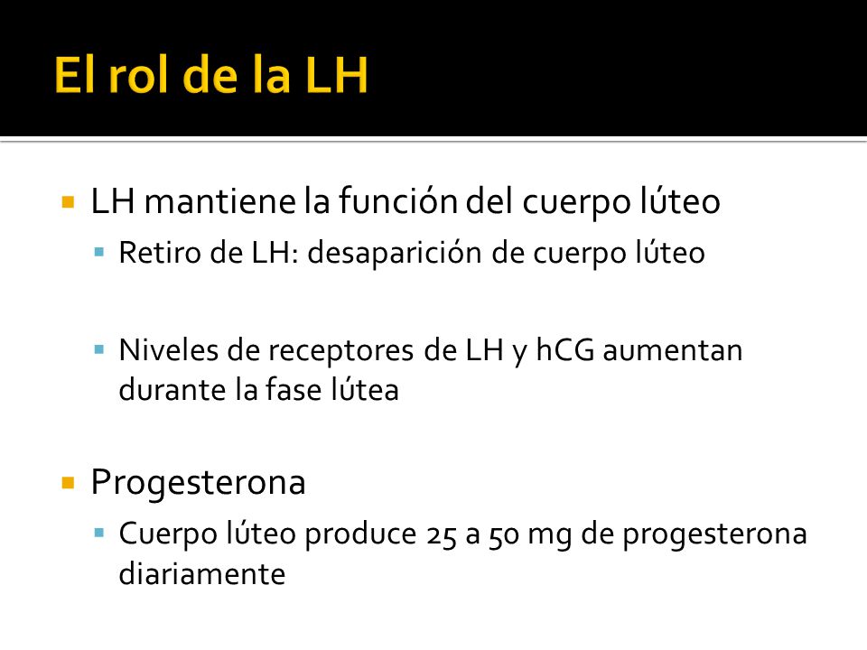 El rol de la LH LH mantiene la función del cuerpo lúteo Progesterona