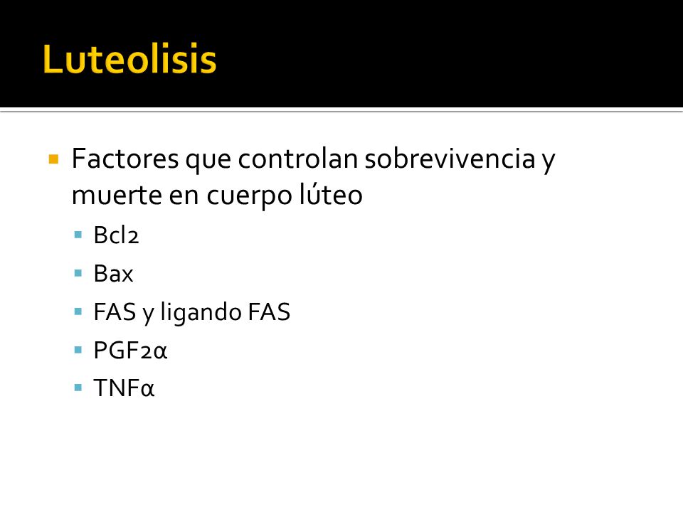 Luteolisis Factores que controlan sobrevivencia y muerte en cuerpo lúteo. Bcl2. Bax. FAS y ligando FAS.