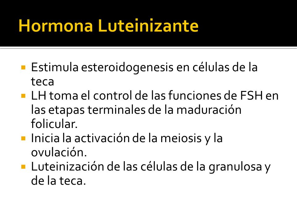 Hormona Luteinizante Estimula esteroidogenesis en células de la teca