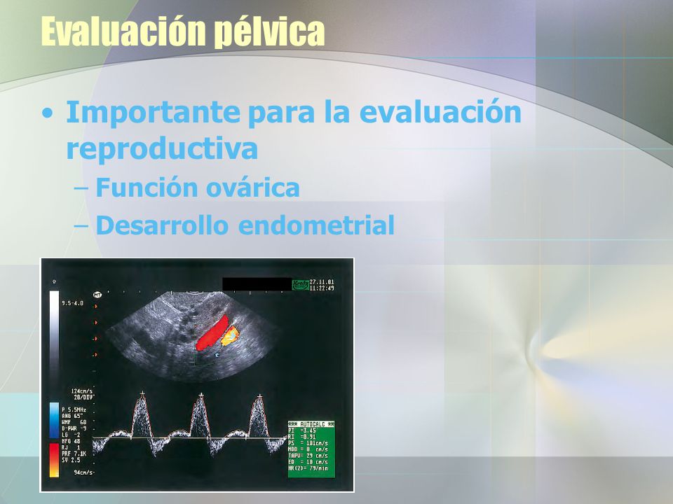 Evaluación pélvica Importante para la evaluación reproductiva