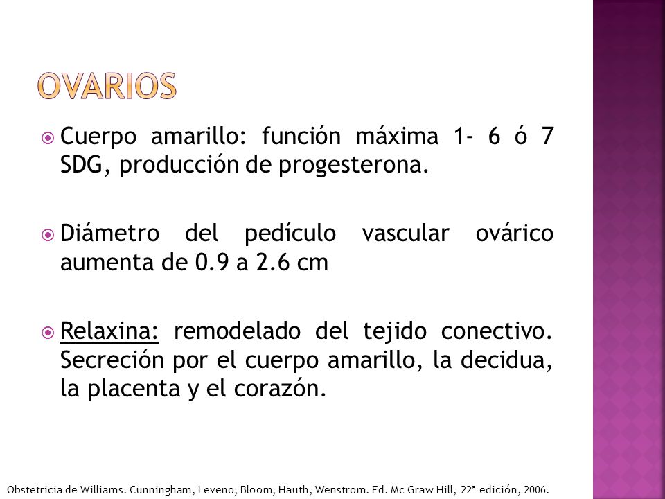 ovarios Cuerpo amarillo: función máxima 1- 6 ó 7 SDG, producción de progesterona. Diámetro del pedículo vascular ovárico aumenta de 0.9 a 2.6 cm.