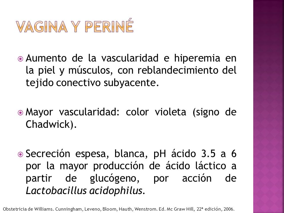 Vagina y periné Aumento de la vascularidad e hiperemia en la piel y músculos, con reblandecimiento del tejido conectivo subyacente.