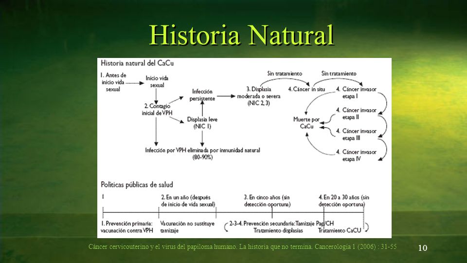 Historia Natural Cáncer cervicouterino y el virus del papiloma humano.