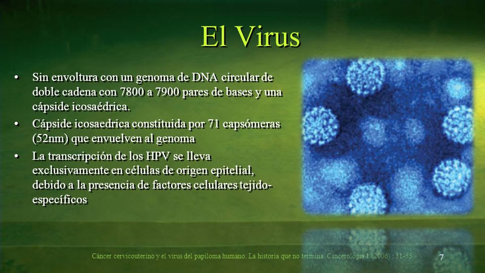 El Virus Sin envoltura con un genoma de DNA circular de doble cadena con 7800 a 7900 pares de bases y una cápside icosaédrica.