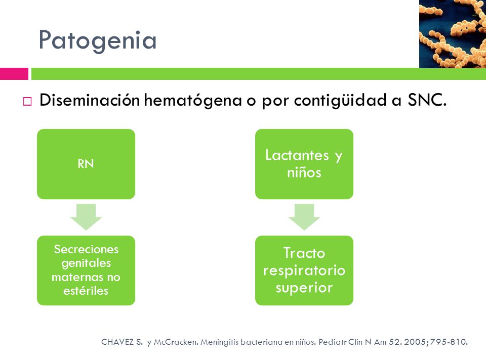 Patogenia Diseminación hematógena o por contigüidad a SNC.
