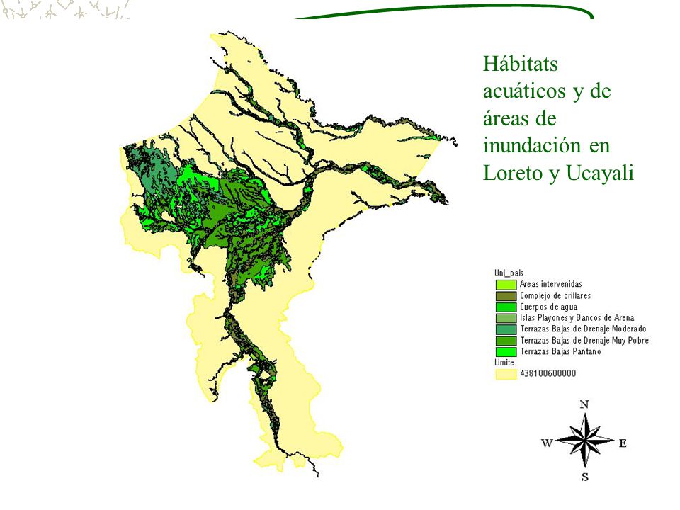 Hábitats acuáticos y de áreas de inundación en Loreto y Ucayali