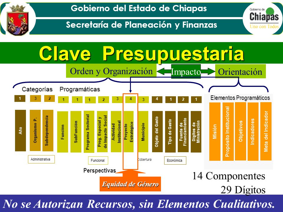 Clave Presupuestaria Orden y Organización. Orientación. Impacto. Categorías Programáticas. Proyecto Estratégico.