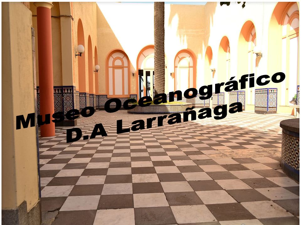 Museo Oceanográfico D.A Larrañaga