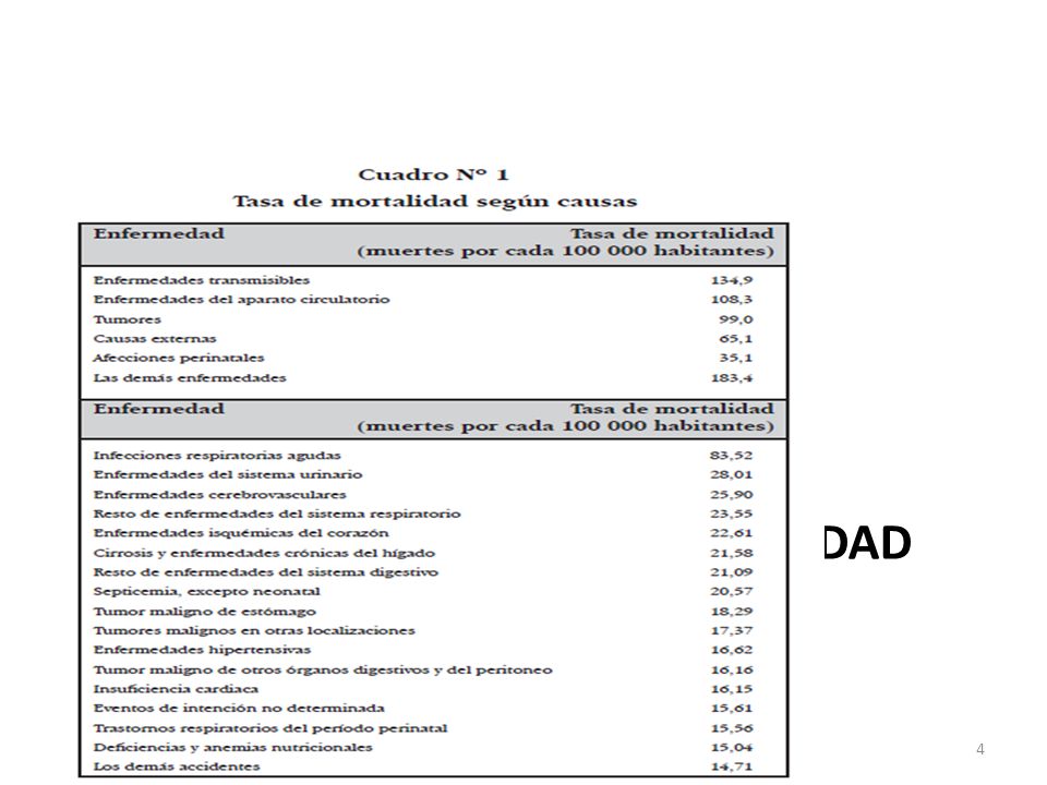 Problemas de salud: Mortalidad en el Perú (INS 2007)