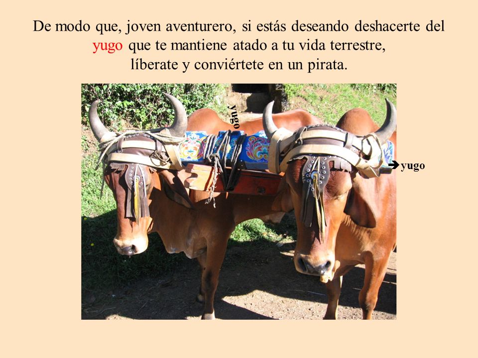 De modo que, joven aventurero, si estás deseando deshacerte del yugo que te mantiene atado a tu vida terrestre, líberate y conviértete en un pirata.