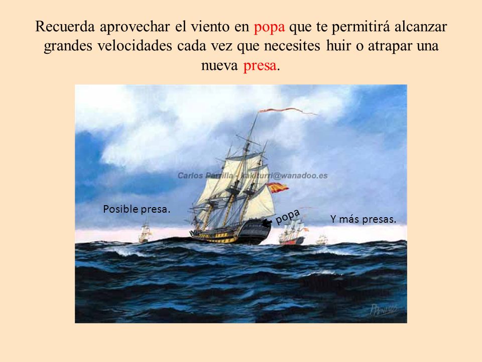 Recuerda aprovechar el viento en popa que te permitirá alcanzar grandes velocidades cada vez que necesites huir o atrapar una nueva presa.