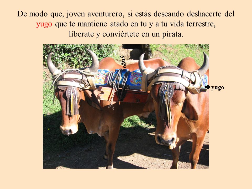 De modo que, joven aventurero, si estás deseando deshacerte del yugo que te mantiene atado en tu y a tu vida terrestre, líberate y conviértete en un pirata.