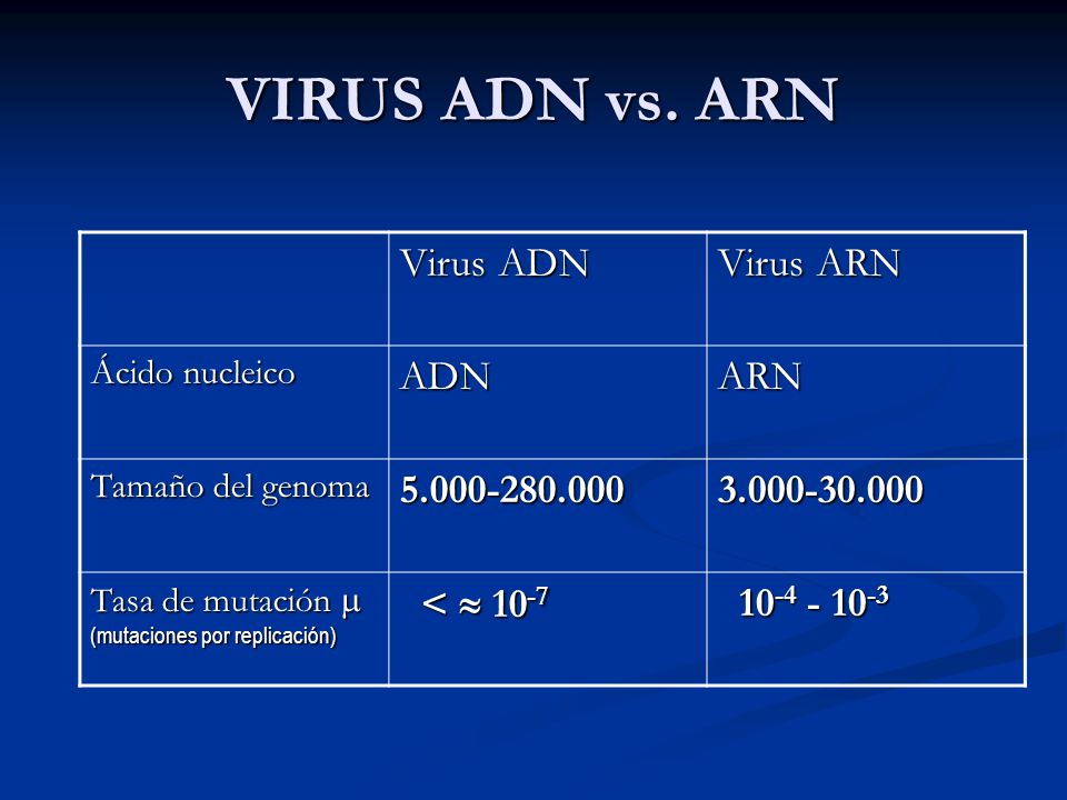 VIRUS ADN vs. ARN Virus ADN Virus ARN ADN ARN