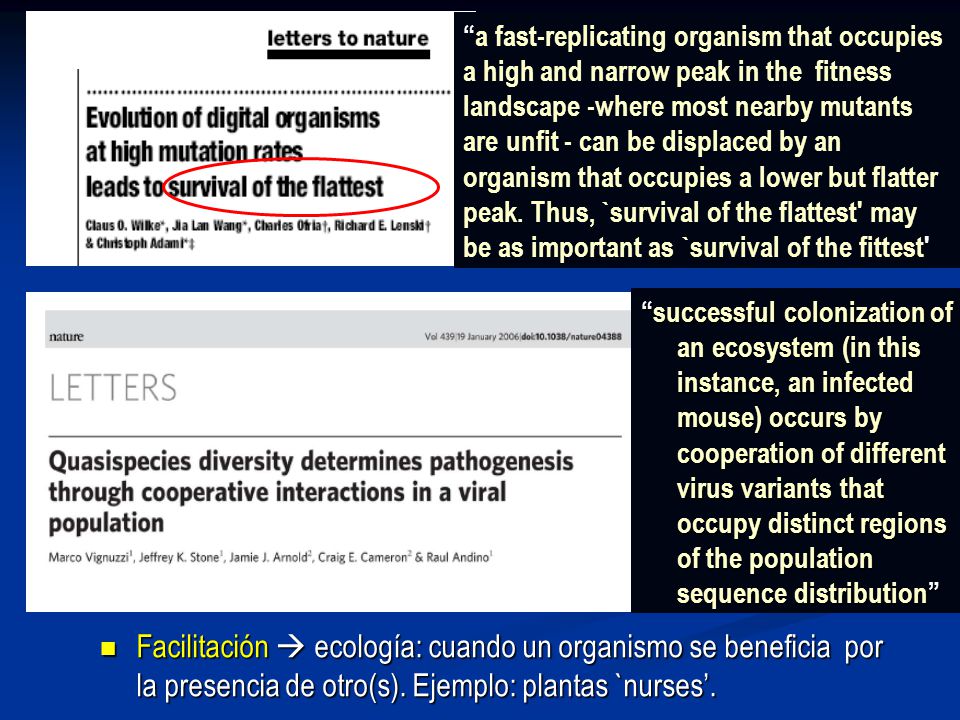 a fast-replicating organism that occupies a high and narrow peak in the fitness landscape -where most nearby mutants are unfit - can be displaced by an organism that occupies a lower but flatter peak. Thus, `survival of the flattest may be as important as `survival of the fittest
