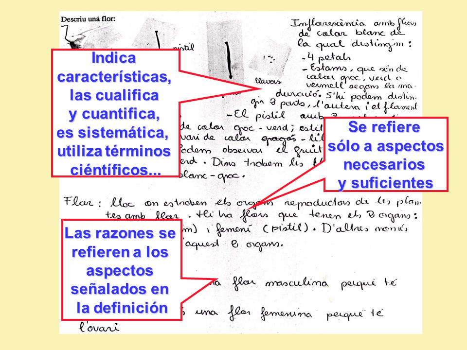 Indica características, las cualifica. y cuantifica, es sistemática, utiliza términos. ciéntíficos...