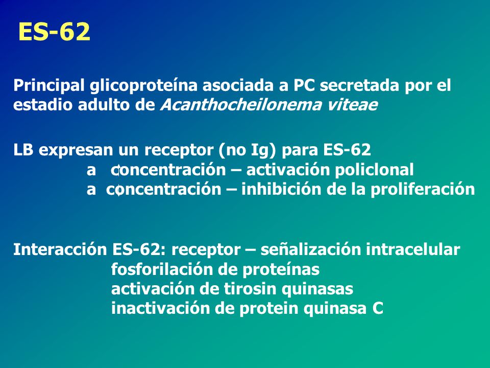 ES-62 Principal glicoproteína asociada a PC secretada por el estadio adulto de Acanthocheilonema viteae.