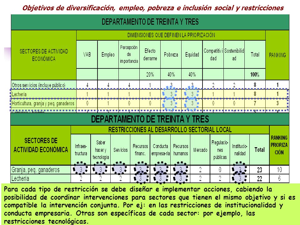 Objetivos de diversificación, empleo, pobreza e inclusión social y restricciones