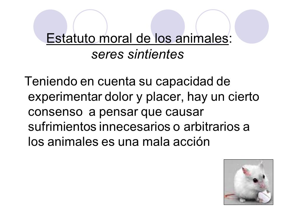 Estatuto moral de los animales: seres sintientes