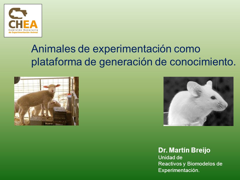 Animales de experimentación como plataforma de generación de conocimiento.