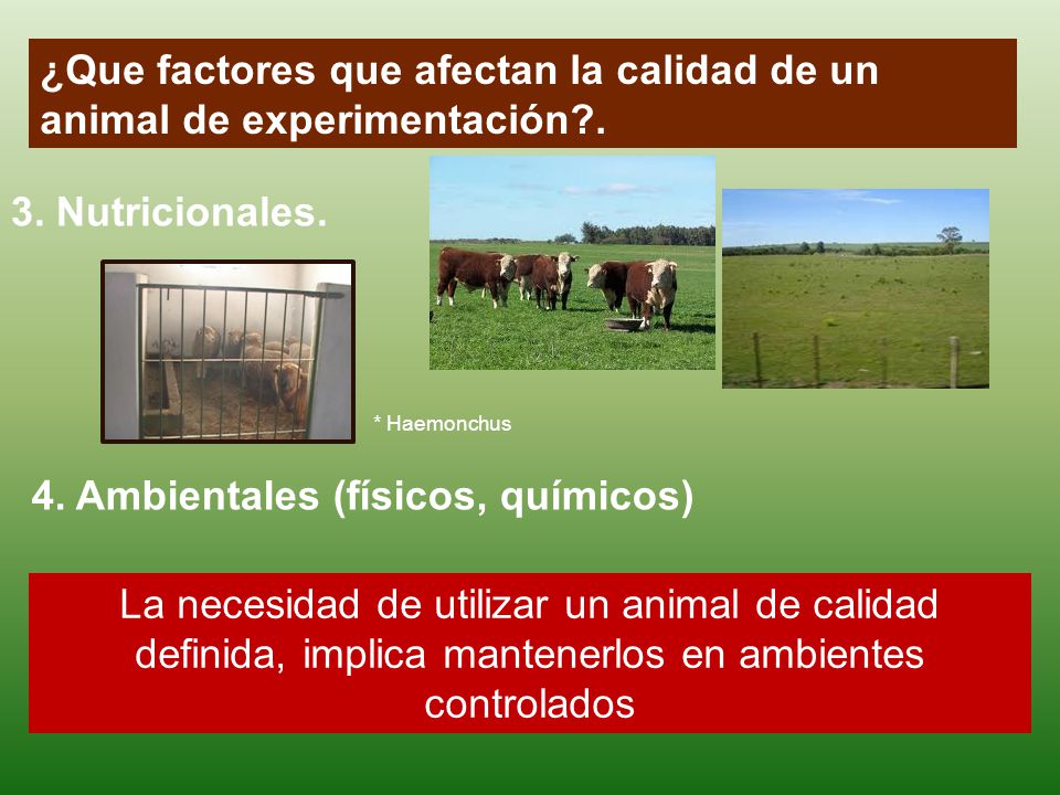 ¿Que factores que afectan la calidad de un animal de experimentación .