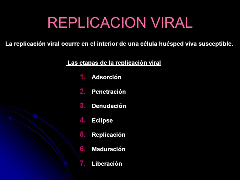 Las etapas de la replicación viral