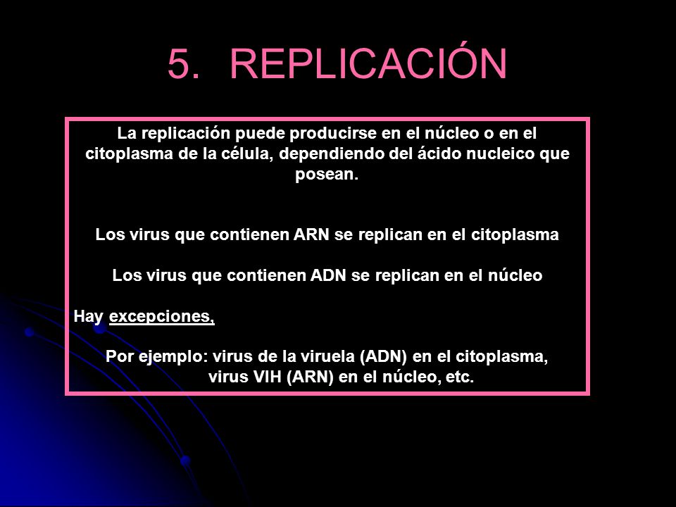 5. REPLICACIÓN La replicación puede producirse en el núcleo o en el citoplasma de la célula, dependiendo del ácido nucleico que posean.