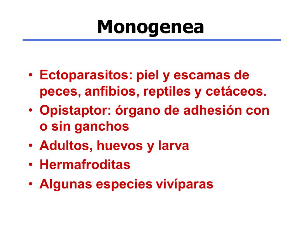Monogenea Ectoparasitos: piel y escamas de peces, anfibios, reptiles y cetáceos. Opistaptor: órgano de adhesión con o sin ganchos.