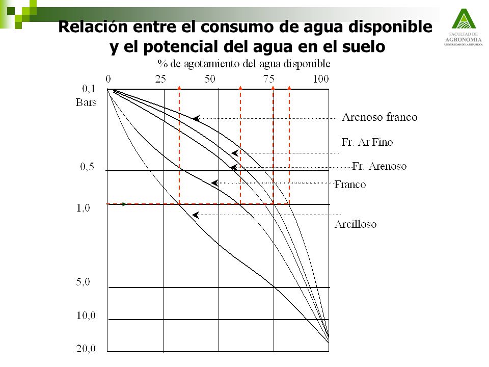 Relación entre el consumo de agua disponible y el potencial del agua en el suelo