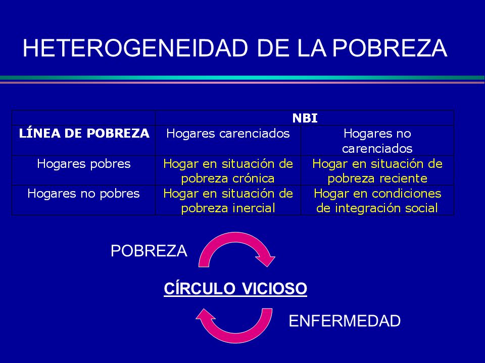 HETEROGENEIDAD DE LA POBREZA