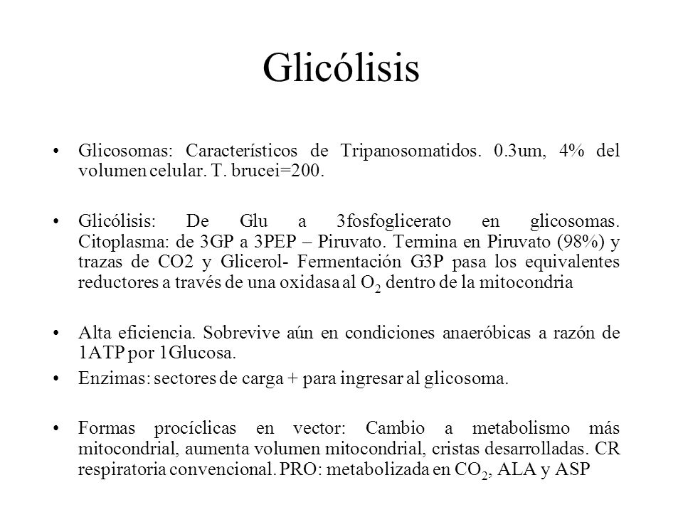 Glicólisis Glicosomas: Característicos de Tripanosomatidos. 0.3um, 4% del volumen celular. T. brucei=200.