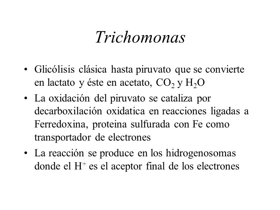 Trichomonas Glicólisis clásica hasta piruvato que se convierte en lactato y éste en acetato, CO2 y H2O.