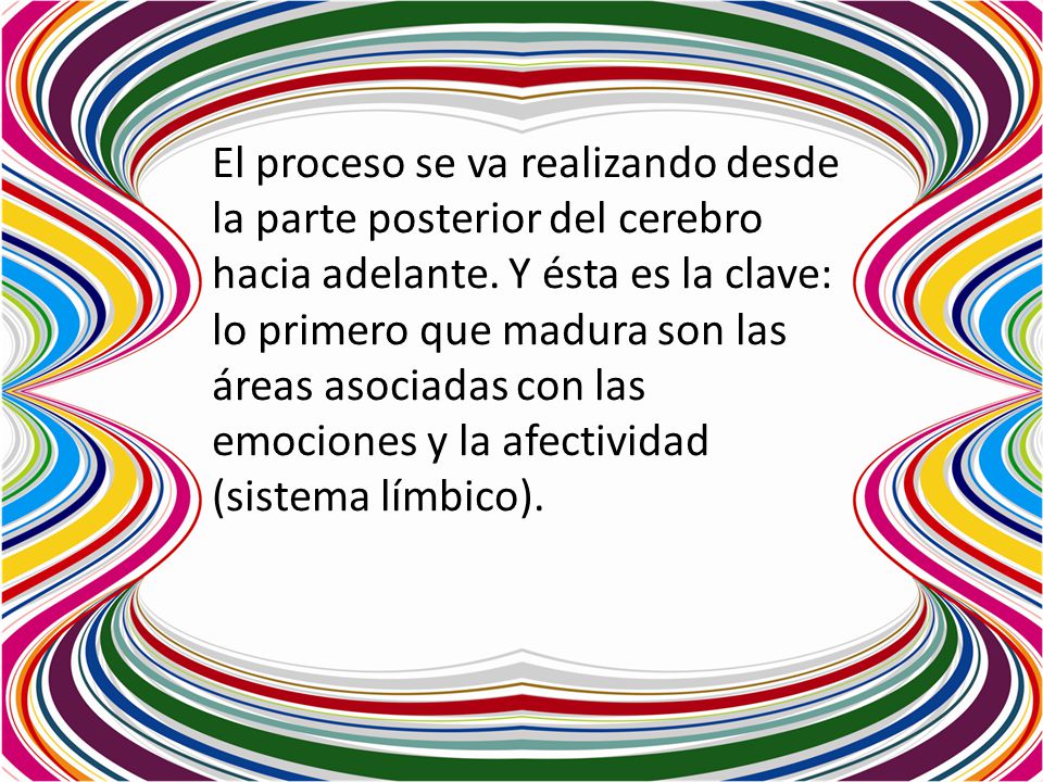 El proceso se va realizando desde la parte posterior del cerebro hacia adelante.