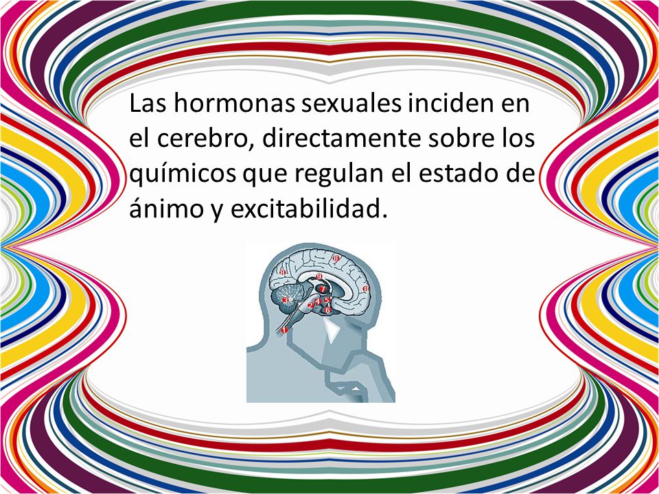 Las hormonas sexuales inciden en el cerebro, directamente sobre los químicos que regulan el estado de ánimo y excitabilidad.