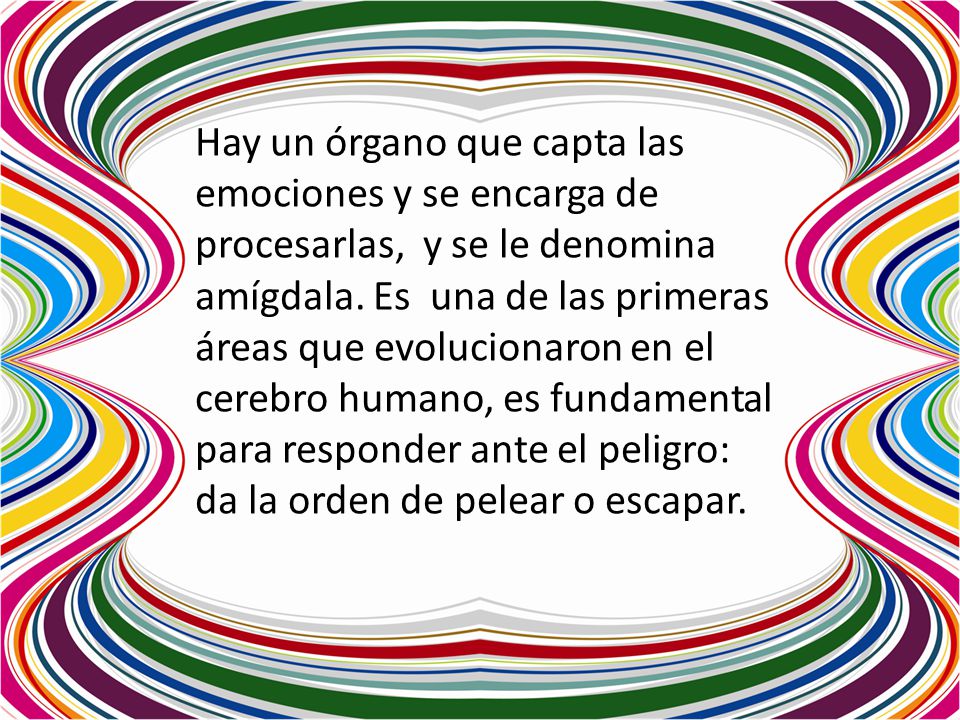 Hay un órgano que capta las emociones y se encarga de procesarlas, y se le denomina amígdala.